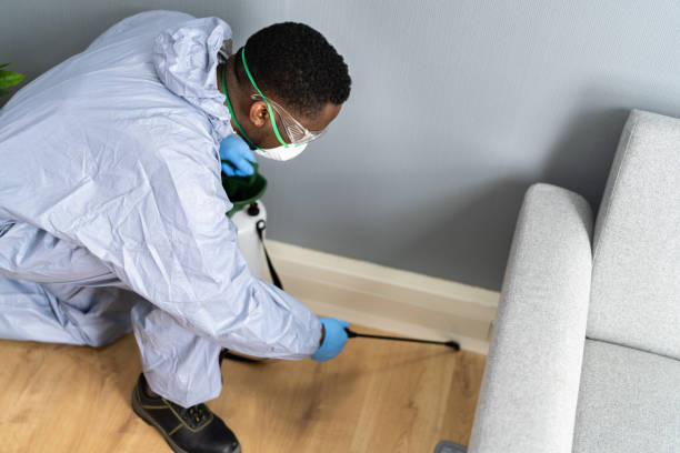 Best Termite Inspection and Treatment  in Matthews, NC